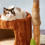 Luxury Solid Wood Cat Climbing Frame - Image 3