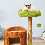 Luxury Solid Wood Cat Climbing Frame - Image 2