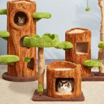 Luxury Solid Wood Cat Climbing Frame