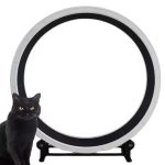 Innovation Design Indoor Cat Exercise Wheel Easy Assembly - Image 2