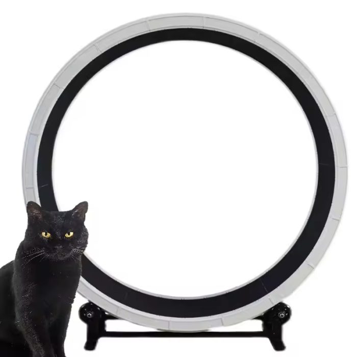 Innovation Design Indoor Cat Exercise Wheel Easy Assembly - Image 2