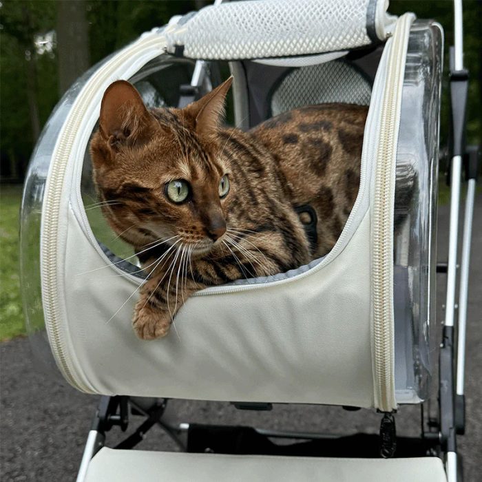 3 in 1 Folding Cat Stroller with Removable Carrier - Image 4