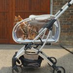 3 in 1 Folding Cat Stroller with Removable Carrier