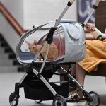 3 in 1 Folding Cat Stroller with Removable Carrier - Image 5