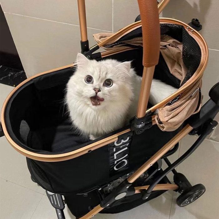 Foldable Travel Pet Stroller for Cats & Dogs with Detachable Carrier - Image 7