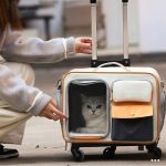 Rolling Pet Carrying Case Adjustable Pull Rod - Image 5