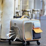 Rolling Pet Carrying Case Adjustable Pull Rod - Image 6