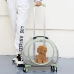 Clear Cats Carrying Case with Silent Wheel - Image 10