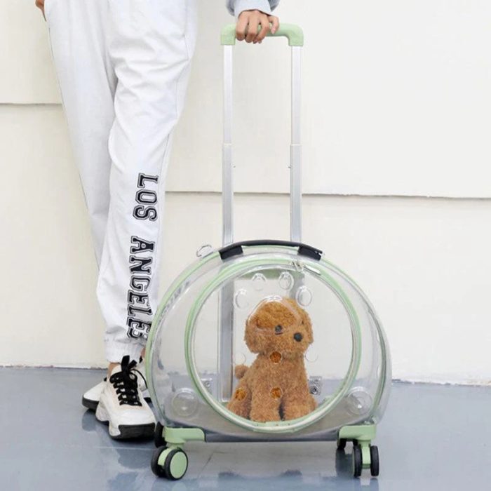 Clear Cats Carrying Case with Silent Wheel - Image 10