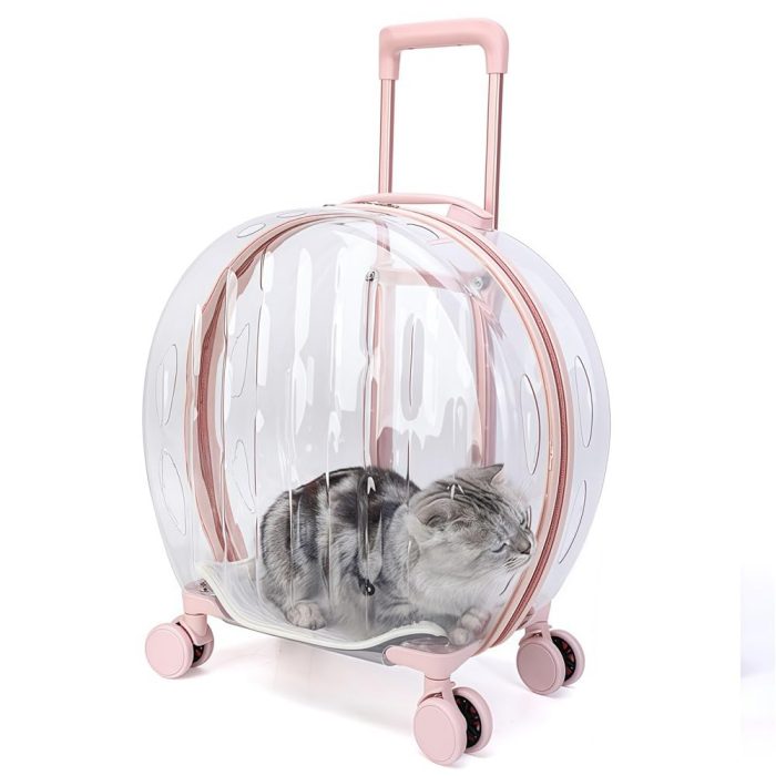 Clear Cats Carrying Case with Silent Wheel - Image 1