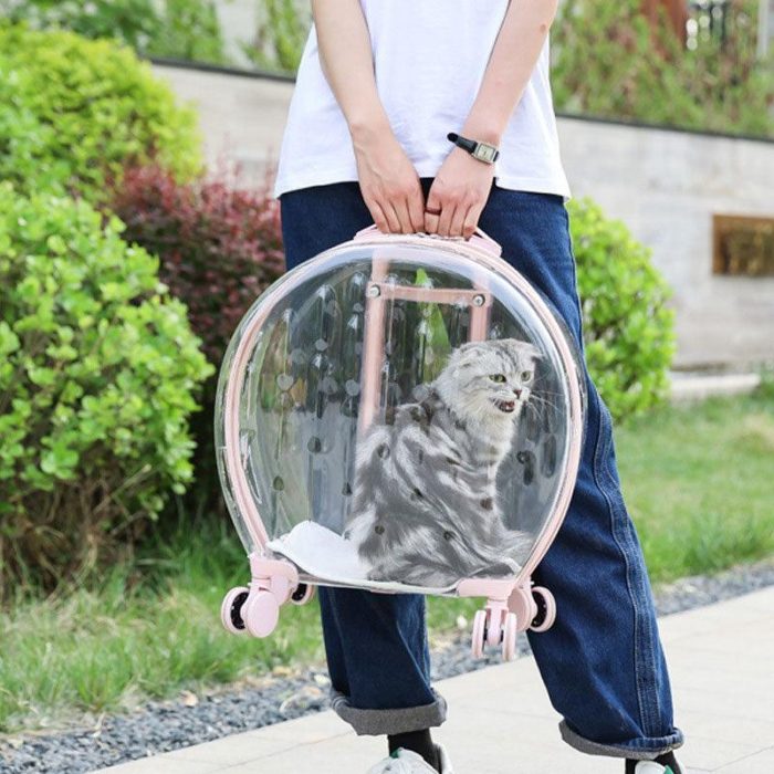 Clear Cats Carrying Case with Silent Wheel - Image 6