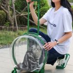 Clear Cats Carrying Case with Silent Wheel - Image 4