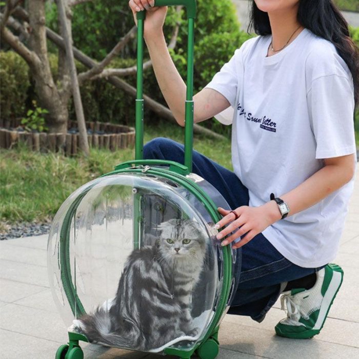 Clear Cats Carrying Case with Silent Wheel - Image 4
