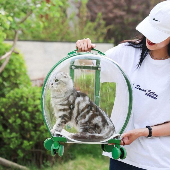 Clear Cats Carrying Case with Silent Wheel - Image 3